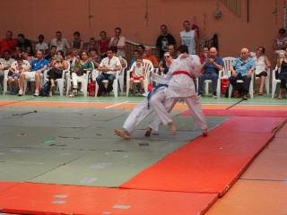 Image description